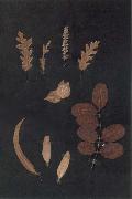 Paul Klee Herbarium Spain oil painting artist